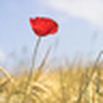 Profile Picture of Alexandra Samson (@alexsams) on Flickr