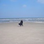 Profile Picture of Martin Ehrhardt (@martinehrhardt) on Instagram