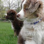 Profile Picture of Paul McIvor (@browntown70) on Instagram