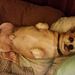 Profile Picture of Jerry Ruby (@jerryrruby) on Pinterest