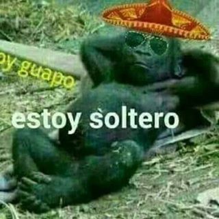 Profile Picture of Vicente Abrego Arias (@vicente.abregoarias) on Facebook