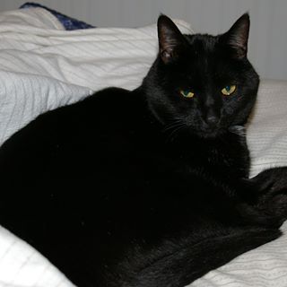 Profile Picture of Cola Wilson (@cola.wilson.3) on Facebook