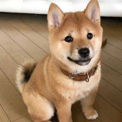 Profile Picture of Joshua Conde (@JoshuaC44606222) on Twitter