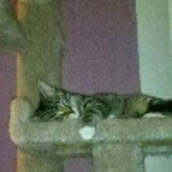 Profile Picture of Jessica Martinka (@jm0408) on Poshmark