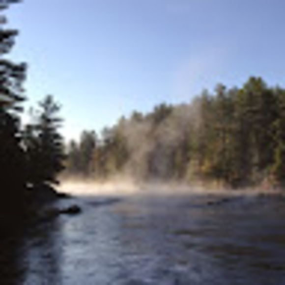 L Fedderson - Poshmark Profile Picture of L Fedderson (@lfedderson) on Poshmark