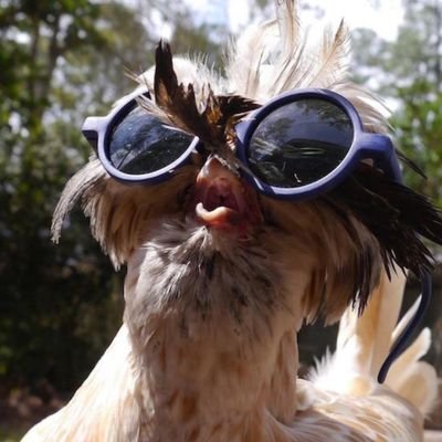 Profile Picture of Bob Helm (@ru2388) on Twitter