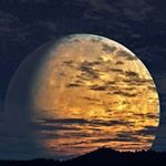 Profile Picture of Tracy Brookings (@friendly_tracy) on Instagram