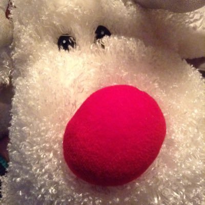 Profile Picture of Matthew (@MatthewSnowdon4) on Twitter