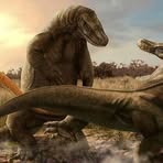 Profile Picture of Joshua Belcher (@Joshua-Belcher) on Facebook