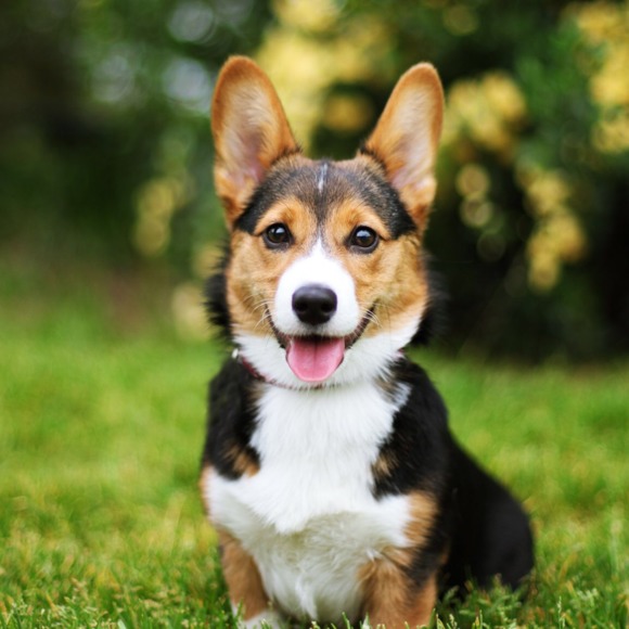 Profile Picture of Alex Hamm (@ahammster) on Poshmark