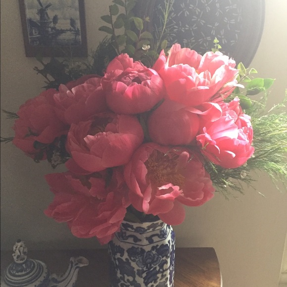 Profile Picture of Maria Cabrales (@mariasol2008) on Poshmark