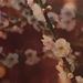 Profile Picture of Nicholas Travers (@nicholastravers1) on Pinterest