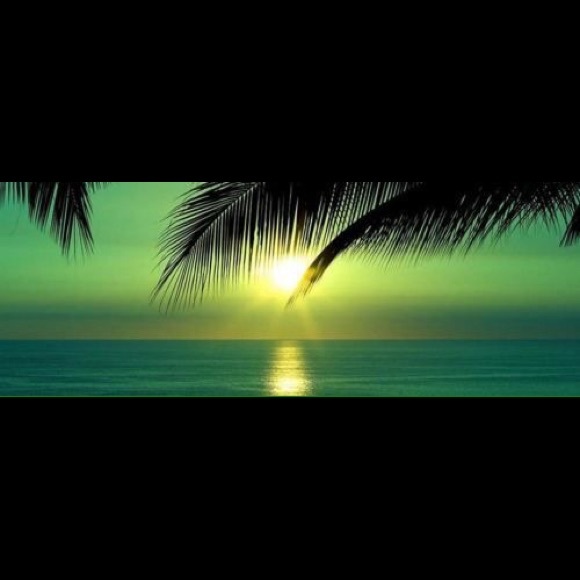 Profile Picture of Meagan Coyle (@meg7926) on Poshmark