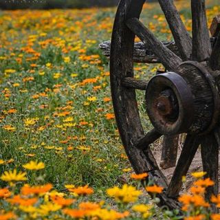 Profile Picture of Dorothy Garrett (@dorothy.garrett.376) on Facebook