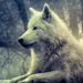 Profile Picture of Erik Schuster (@strejdinek) on Pinterest