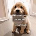 Profile Picture of Aaron Sauer (@@aaronsauer0) on Tiktok