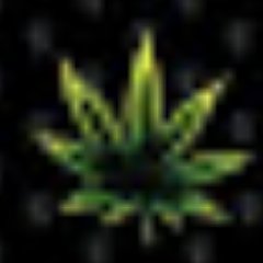 Profile Picture of Jay Baik (@baik_jay) on Twitter