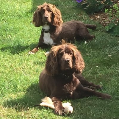 Profile Picture of Andy Ley (@AndyLey4) on Twitter