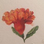 Profile Picture of Reintje Gianotten (@gianottenreintje) on Instagram