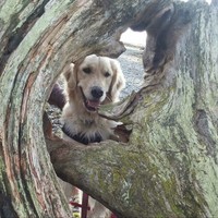 Profile Picture of Roxanne Lowe (@roxanne-lowe-2) on Quora