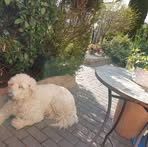 Profile Picture of Lutz Bierfreund (@lutz.bierfreund.1) on Facebook