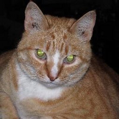 Profile Picture of Jaclyn Richards  🏳️‍🌈 (@jaclynkrichards) on Twitter