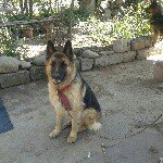 Profile Picture of Armando Ruben Dionicio (@ruben_armando_84) on Instagram