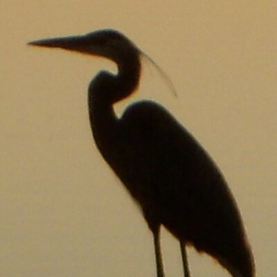 Profile Picture of Chris Steffl (@christeffl) on Twitter