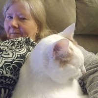 Profile Picture of Lorie Perdue (@lorie-perdue-1) on Quora