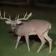 Profile Picture of David Weigold (@david.weigold3) on Tiktok
