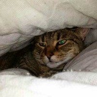 Profile Picture of Teresa Mieszkuc (@teresa-mieszkuc) on Quora