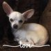 Profile Picture of Lesa Vanderlip (@lesa.vanderlip) on Facebook