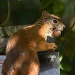 Profile Picture of Nigelwilliams39 (@nigelwilliams39) on Flickr