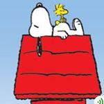 Profile Picture of Chai Feng (@dankeyenoh) on Instagram