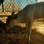 Profile Picture of Thomas Wendland (@thomas.wendland) on Instagram