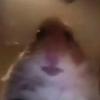 Profile Picture of Alexander McConnell (@@alexandermcconnell) on Tiktok
