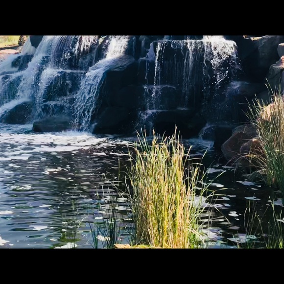 Profile Picture of Maggie Mogusu (@maggie_mogusu) on Poshmark