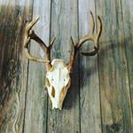 Profile Picture of John McGee (@john_05_mcgee_05) on Instagram