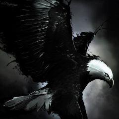 Profile Picture of Aaron Vargas (@aaronvargas3004) on Twitter