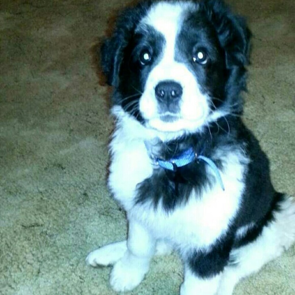 Profile Picture of Amanda Gageby (@gageby21) on Poshmark