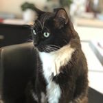 Profile Picture of Paula Terranova (@paula.terranova.9) on Instagram