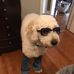 Profile Picture of Chris Mazzella (@chris.mazzella.986) on Facebook