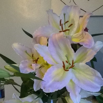 Profile Picture of Kim Barwick (@KimBarwick2) on Twitter