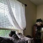 Profile Picture of Loretta Davenport Hodges (@lorettadavenporthodges) on Instagram