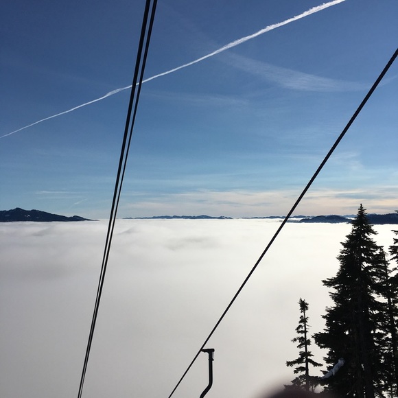 Profile Picture of Josh Vester (@joshvester) on Poshmark