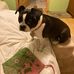 Profile Picture of Karen Haase (@karen.haase.906) on Facebook