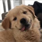 Profile Picture of Vivian Stills (@Vivian-Stills) on Facebook