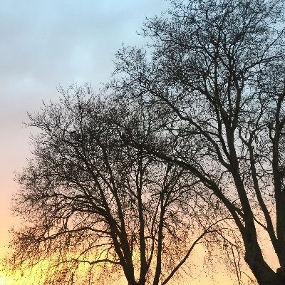 Profile Picture of Daniel Rastall (@DanielRastall) on Twitter