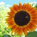 Profile Picture of Kellie Zerlang (@kzerlang) on Pinterest