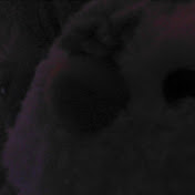 Profile Picture of Savannah Campbell (@savannahcampbell2027) on Youtube